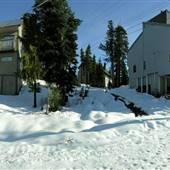 Comox Valley Hallmark Xmas