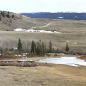 *Kullagh Road Grasslands - Newman Dam Valley 07 MARCH Spring