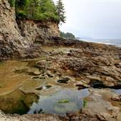 Botanical Beach Provincial Park