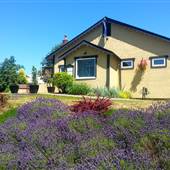 Martine's Bistro in Comox