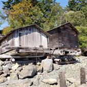 Newman Farm Historical Boathouses