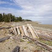 Kin Beach Provincial Park