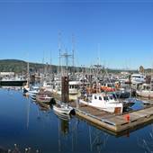 Fishermen's Harbour