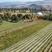 Privato Vineyard & Winery - Entrance, Gardens, Vineyard