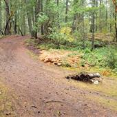 Top Bridge Mountain Bike Trail