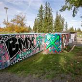 BMX Track and Dirt Jump Park