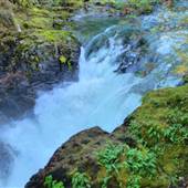 Little Qualicum Falls Provincial Park