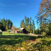 35 acre Rural Acreage - Cedar. Parcel 1