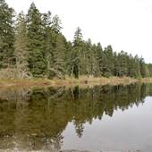 Spectacle Lake