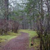 Miracle Beach Provincial Park Trails