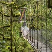 Sooke Hills Wilderness Trail Suspension Bridge