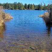 Green Lake