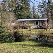 Moulton Cabin