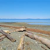 Nile Creek Beach