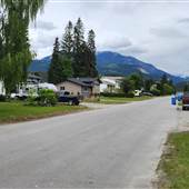 Golden Neighbourhood Snapshots