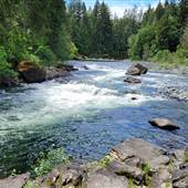 Nanaimo River Access 2