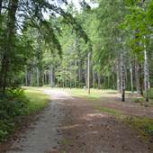 McLean Mill National Historic Site - Campgrounds and Train Tracks