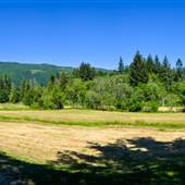 Thompson Open Fields 3/5