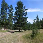 Goldpanning Park in Tranquille Valley