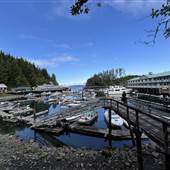Telegraph Cove Marina