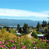 Chase -  Downtown Core - Overlooking Little Shuswap Lake - 2017