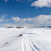 Kullagh Road Grasslands - Newman Dam & Log Barn 04 MARCH