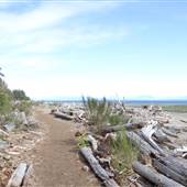 Shelter Point Farm - Beach