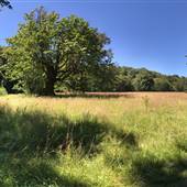 *Shelter Point Farm - Property on Oyster River