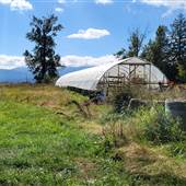 Empress Acres Commercial Greenhouse and Garden