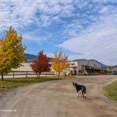 Sun Meadows Equestrian Centre