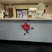 The Royal Canadian Legion Branch 164