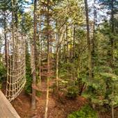 WildPlay Element Parks Victoria
