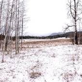 Crater Valley Farm Fields, Forest & Old Log Cabin Remnants Winter
