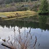 Morrell Lake Powerline Dam