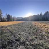 300 Acres with Walk on Waterfront