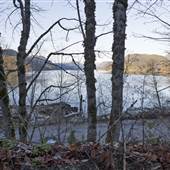 Poleline Road - Cranberry