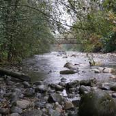 Inter River Park - River