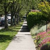 West 37th & Yew Street Neighbourhood