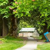 Maple Ridge Park