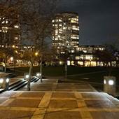 David Lam Park - Night