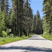 PHILPOTT FOREST ROAD