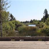 San Jose River- Wright Road