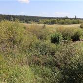 San Jose River - Enterprise Road