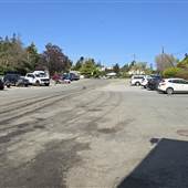 Esquimalt Anglers Association