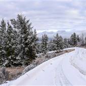 Private Driveway Paved & Unpaved with Curve & Gully