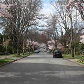 STREET - Fernwood Streets