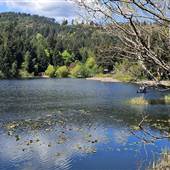 Florence Lake Road Park