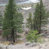 Water Station Road SUMMER