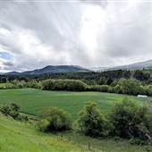 SILVER CREEK LANDSCAPE