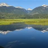 REVELSTOKE WETLANDS